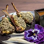 Hotel Euphoria Retreat - A Holistic Wellbeing Destination Mistra