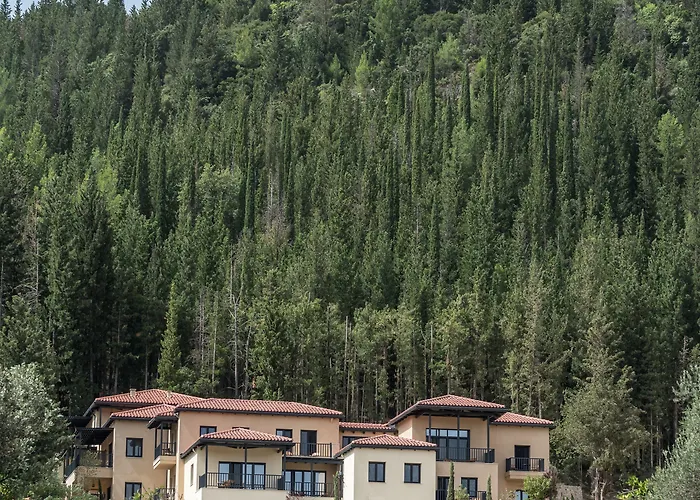 Euphoria Retreat - A Holistic Wellbeing Destination Hotel